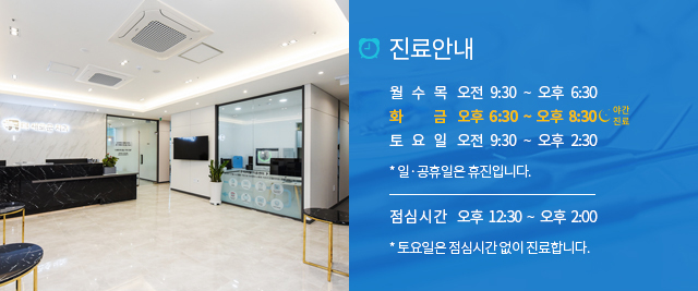 진료안내